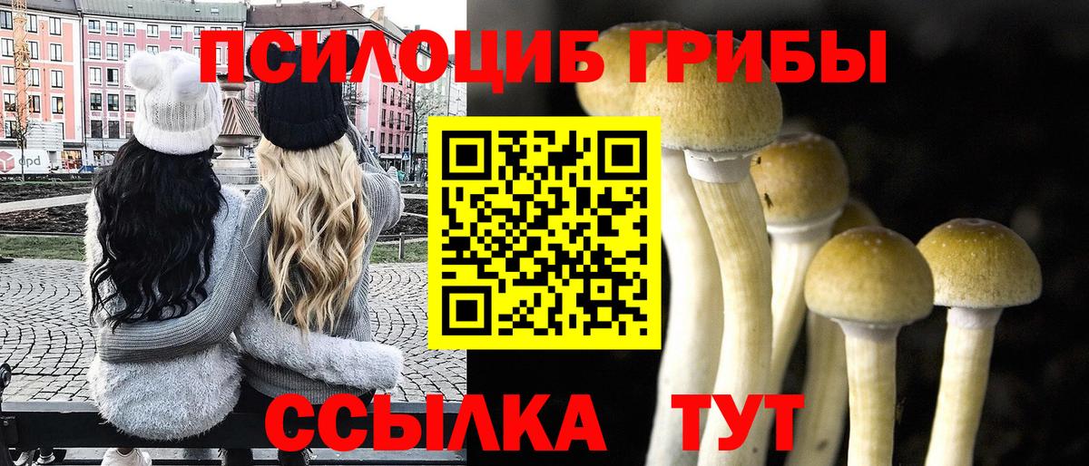 Галлюциногенные грибы мицелий  где можно купить наркотик  Касимов  Псилоцибиновые грибы Cubensis  Вход с VPN 
